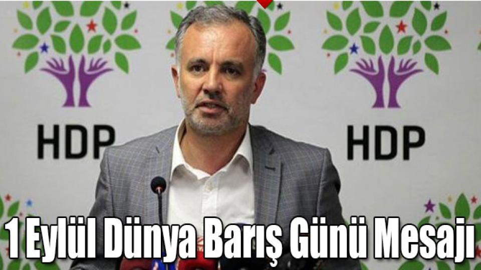 Kars Milletvekili Ayhan Bilgen'in 1 Eylül Barış Günü Mesajı