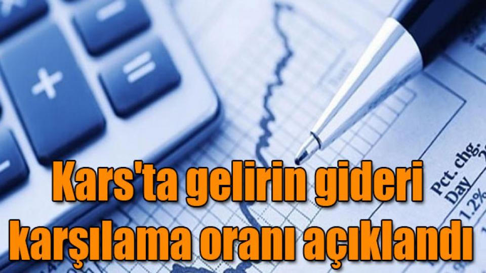 Kars'ta gelirin gideri karşılama oranı yüzde 20,31