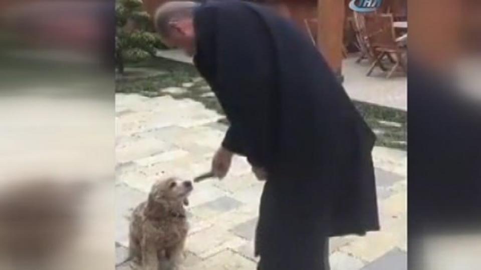Berat Albayrak’ın ‘Erdoğan’ paylaşımı sosyal medyayı salladı