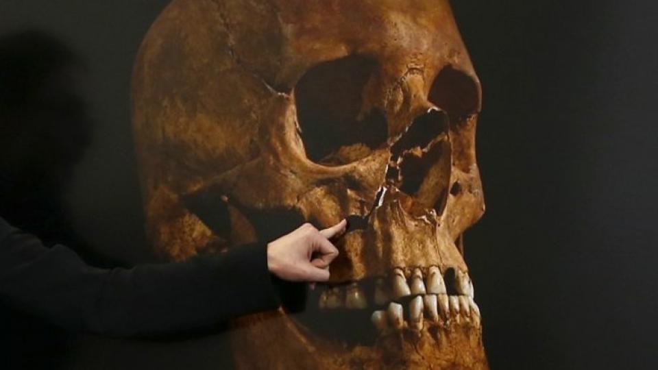 Tembellik: Homo Erectus’un sonu