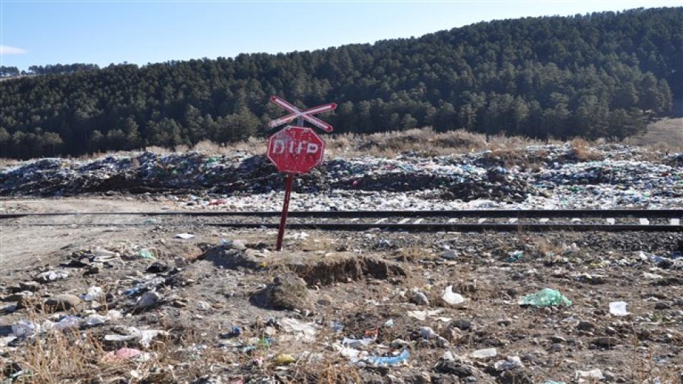 Sarıkamışlılar: Ormanlarımızı temiz bırakın