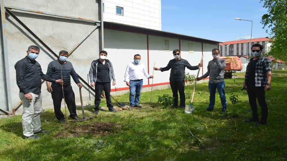 Ağrı’da sağlık çalışanları için ağaç dikme etkinliği