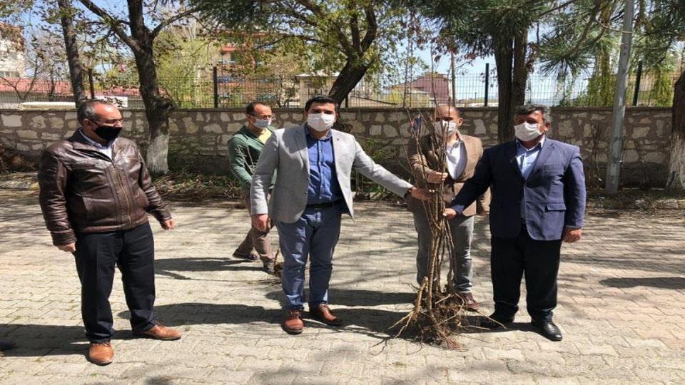 Ağrı Diyadin Kaymakamı Hasan Doğan 2 bin tane meyve fidanı dağıttı