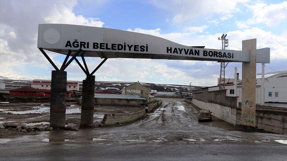 Ağrı Hayvan Pazarı 14 Mayıs'ta açılıyor