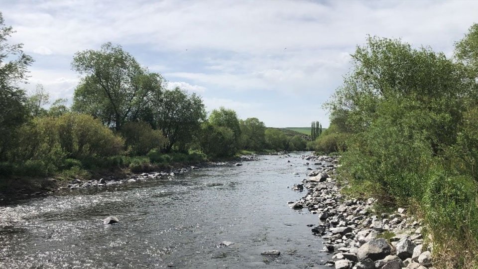 Kars Çayında sussuz kalan balıklara su takviyesi