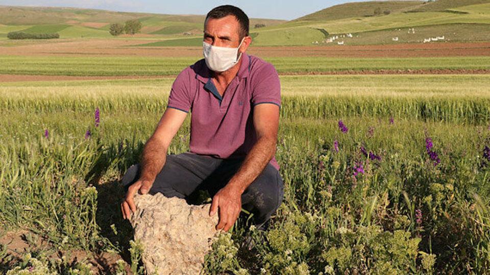 Tarlada buldu 68 bin doları kabul etmedi