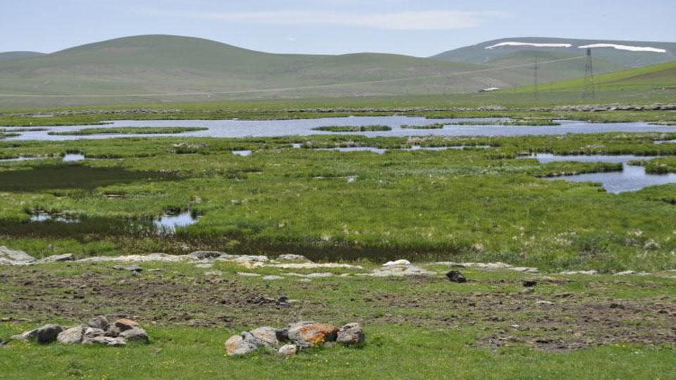 Kars’ta bulunan Çalı Gölü kuruyor