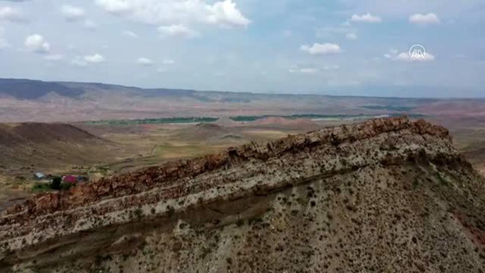 Ağrı Dağında yaprak fosilleri