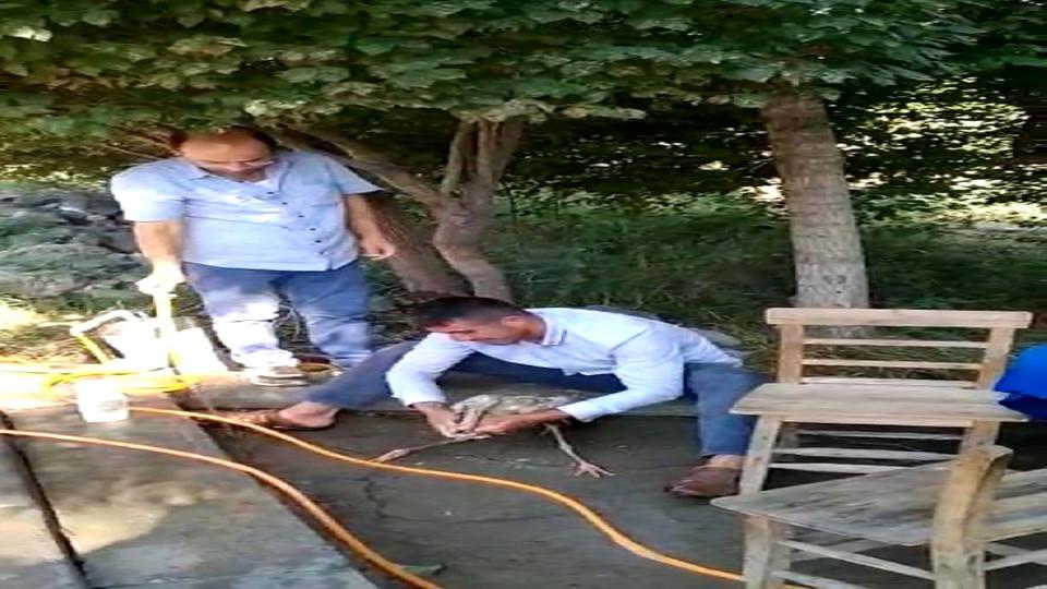 Çamura batan leylek kurtarıldı