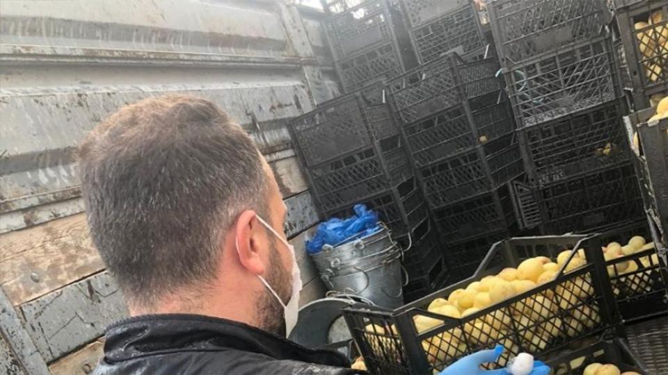 Kars’ta kayısıların altına saklanmış uyuşturucu ele geçirildi