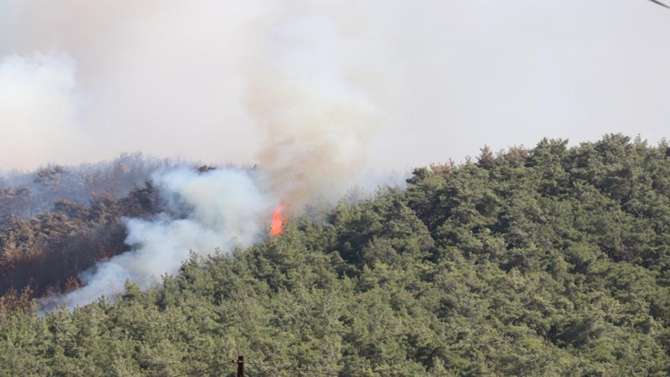İzmir’de çıkan yangınla alakalı bir kişi gözaltına alındı