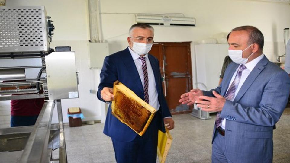 Vali Öner, Kafkas Arısı Üretim Eğitim ve Gen Merkezi Müdürlüğünü ziyaret etti
