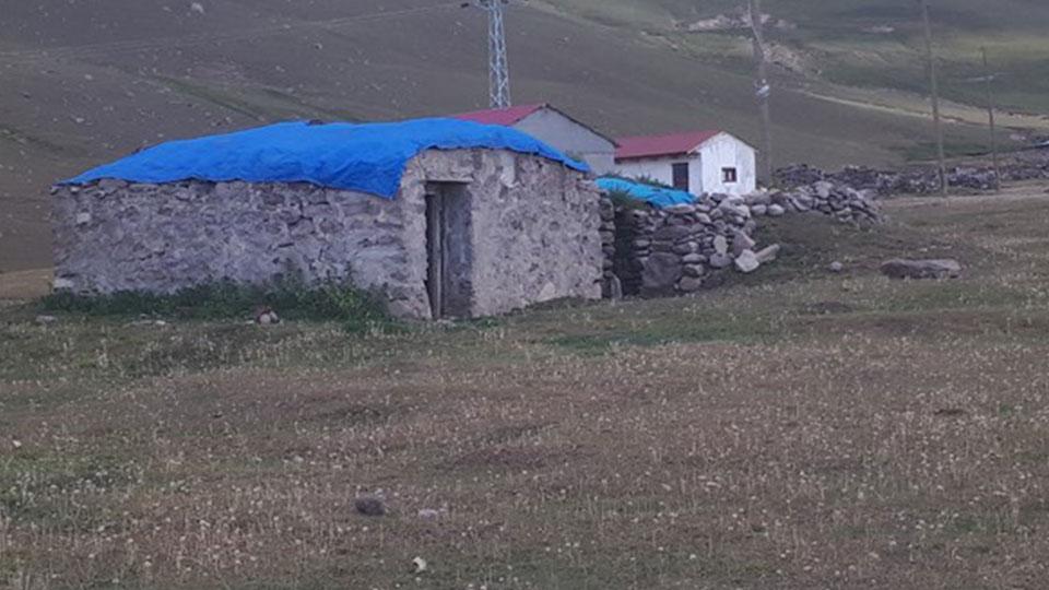 Koranavirüsten öze kaçış