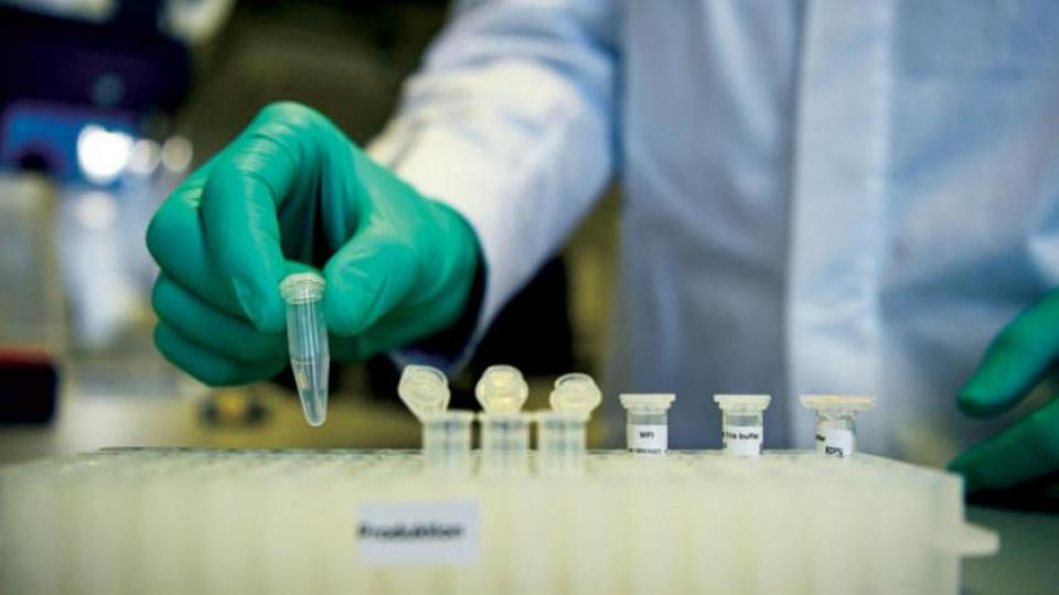 Oxford ve Astra Zeneca, Koronavirüs aşısı üretmeye başladı