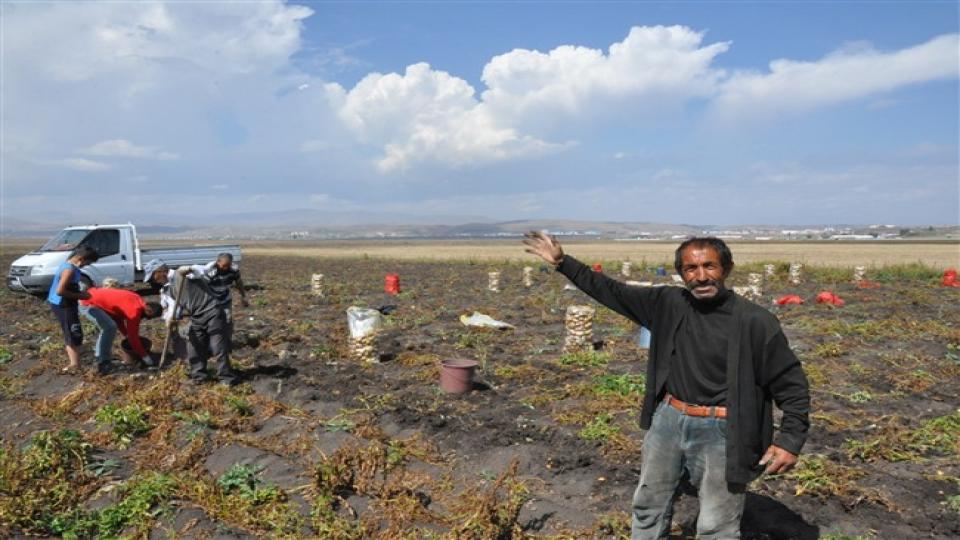 Patates üreticileri sulama için yardım bekliyor