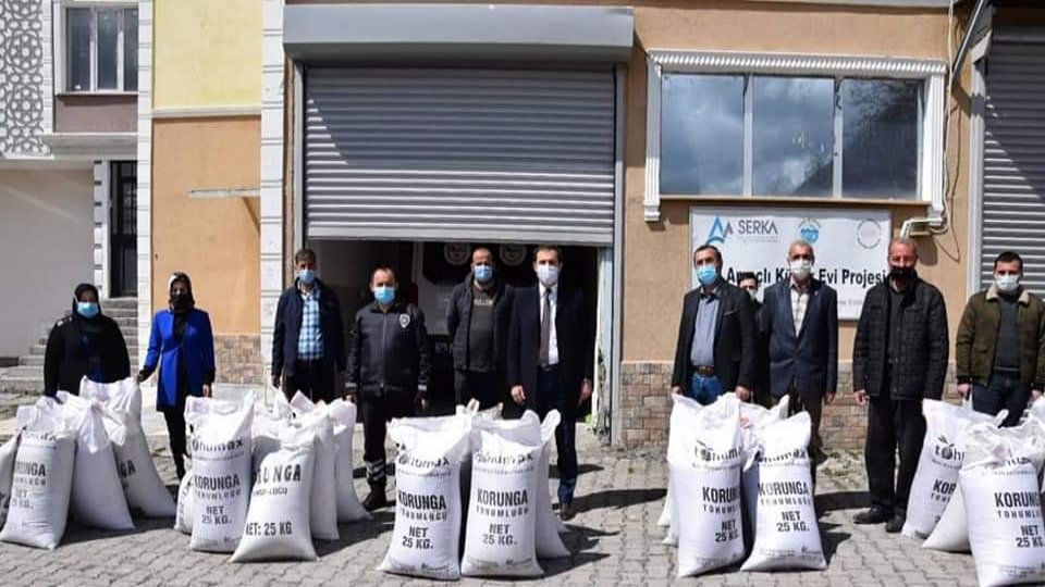 ÇİFTÇİLERE KORUNGA TOHUMU DAĞITILDI