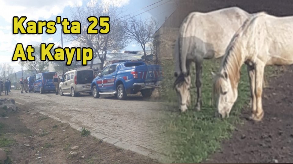 Kars'ta 25 At Kayıp