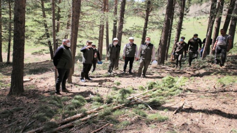 SARIKAMIŞ’TA ORMANCILIK ÇALIŞMALARI YERİNDE İNCELENDİ