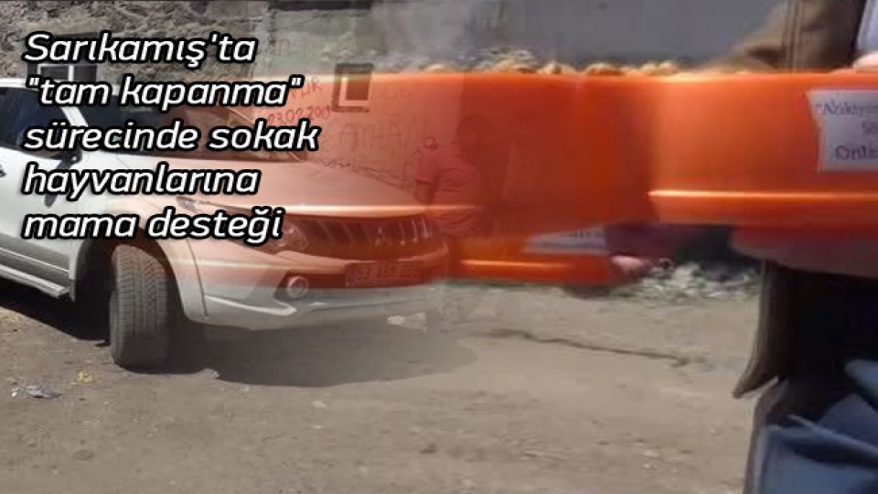 Sarıkamış'ta tam kapanma sürecinde sokak hayvanlarına mama desteği