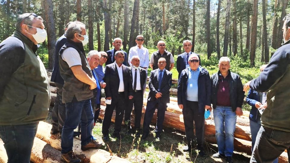 SARIKAMIŞ ORMANLARININ TAMAMI MİLLİ PARK İLAN EDİLMELİDİR