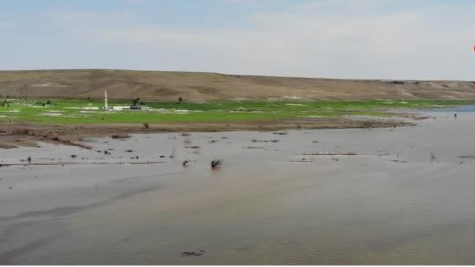 Kars'ta baraj gölü su kuşlarını ağırlıyor 