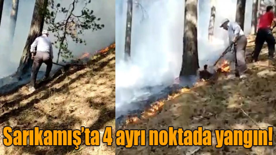 Sarıkamış'ta ormanlık alanda 4 ayrı noktada çıkan örtü yangını söndürüldü.