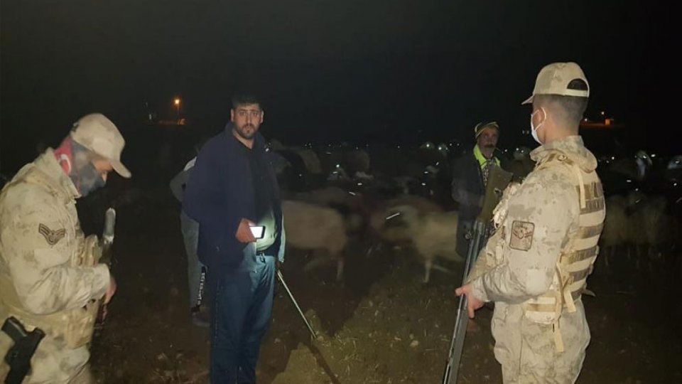 Digor'da kaybolan 400 koyun bulundu