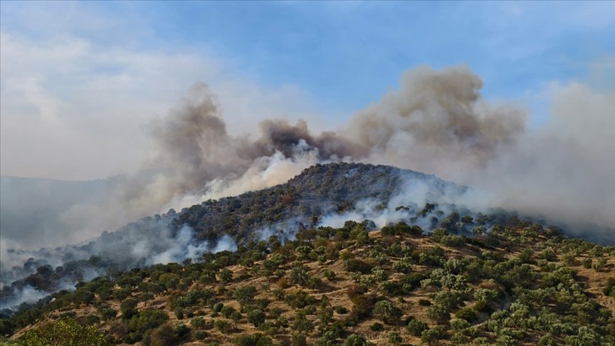 Aydın’ın Bozdoğan İlçesinde Ziraat Alanında Çıkan Yangına Yoğun Müdahale