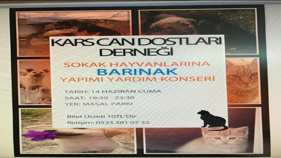 Serhatın Sesi / Serhat Diyarından Haberler / Kars'ta sokak hayvanlarına 'konser'li destek