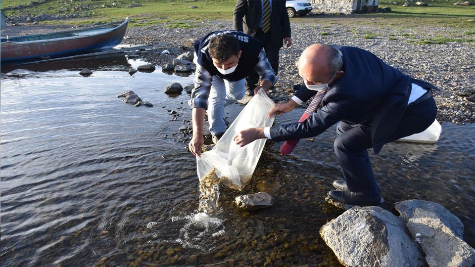 Kars’ta “İç Sularda Balıklama Projesi”