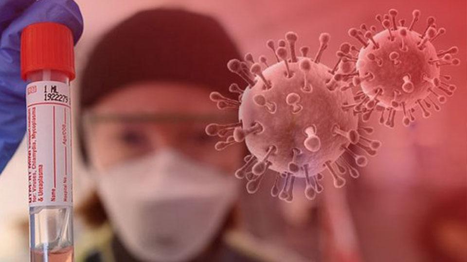 Serhatın Sesi / Serhat Diyarından Haberler / Koronavirüs Güncesi: Vaka sayısı 28 milyona yaklaştı