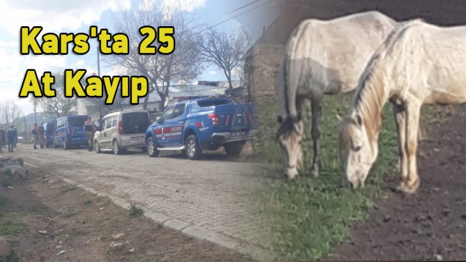 Serhatın Sesi / Serhat Diyarından Haberler / Kars'ta 25 At Kayıp