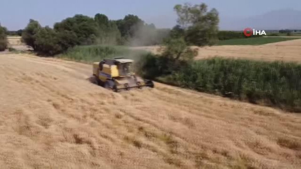 Serhatın Sesi / Serhat Diyarından Haberler / Iğdır'da buğday hasadı başladı
